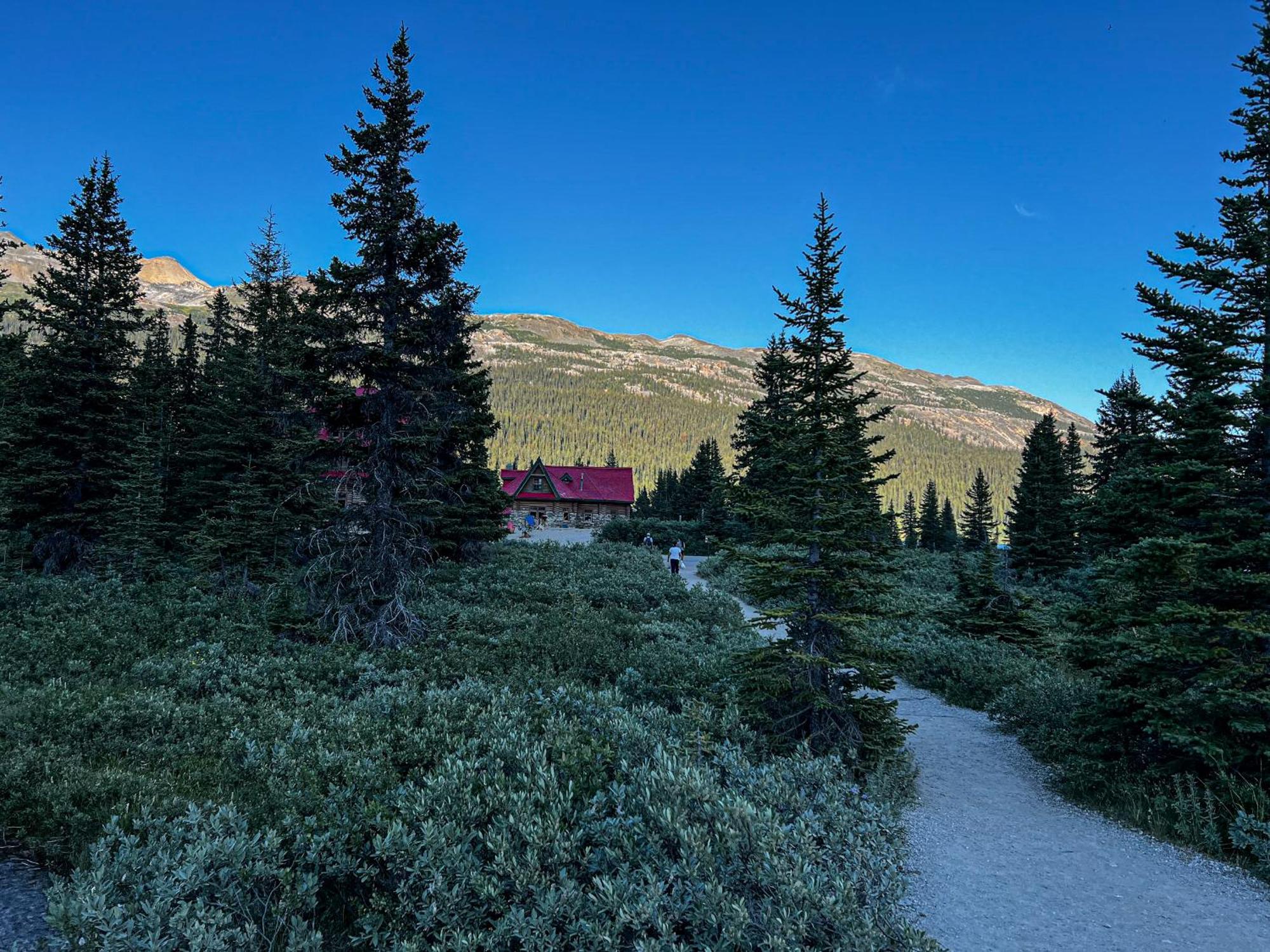 The Lodge At Bow Lake Лейк Луис Екстериор снимка