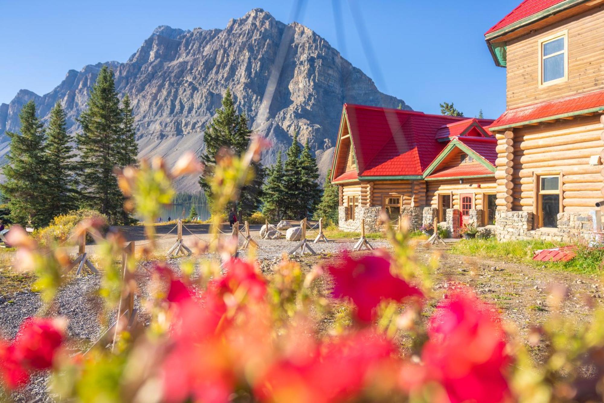 The Lodge At Bow Lake Лейк Луис Екстериор снимка