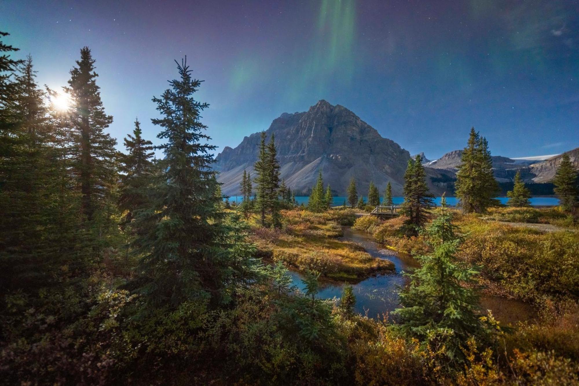 The Lodge At Bow Lake Лейк Луис Екстериор снимка